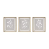 Madison Park Fair Florets 3-pc. Framed Wall Art Set