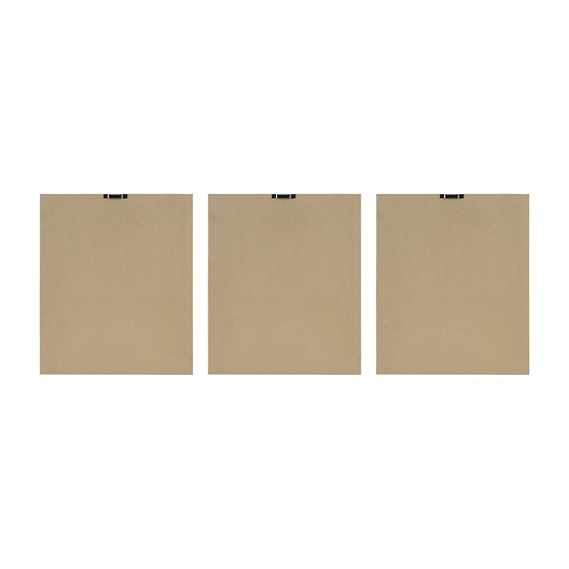 Madison Park Fair Florets 3-pc. Framed Wall Art Set