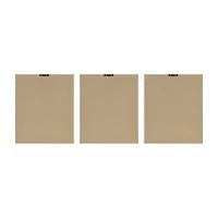 Madison Park Fair Florets 3-pc. Framed Wall Art Set