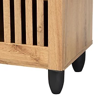 Fernanda Living Room Collection Accent Cabinet