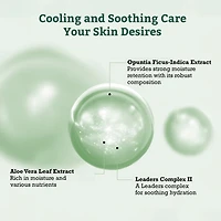 Leaders Aloe Soothing Skin Renewal Mask