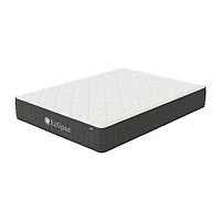 Eclipse Evolve 12.5" Plush Hybrid Matttress A Box