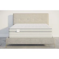 JCP Exclusive! Fieldcrest Eden 12" Plush Pillow Top - Mattress Only