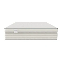 JCP Exclusive! Fieldcrest Eden 12" Plush Pillow Top - Mattress Only