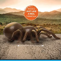 Discovery Kids RC Moving Tarantula Spider, Wireless Remote Control Toy for Kids