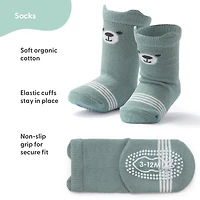 The Peanutshell Baby Boys 12 Pair Crew Socks
