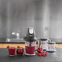 Ninja® Master Prep® Professional Blender QB1004