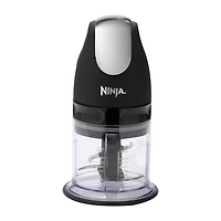 Ninja® Master Prep® Professional Blender QB1004