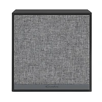 Crosley Speaker