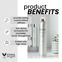 Kenra Professional Perfect Medium Hair Spray 10 oz.