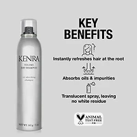 Kenra Professional Volume Dry Shampoo 5 oz.