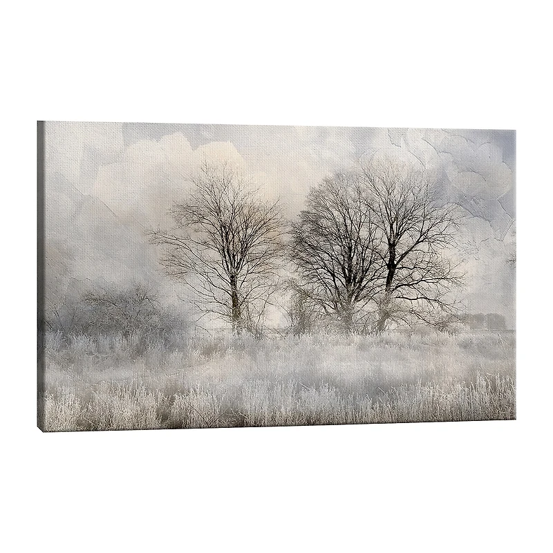 Lumaprints Winter Frost 3 Canvas Art
