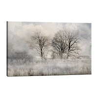 Lumaprints Winter Frost 3 Canvas Art