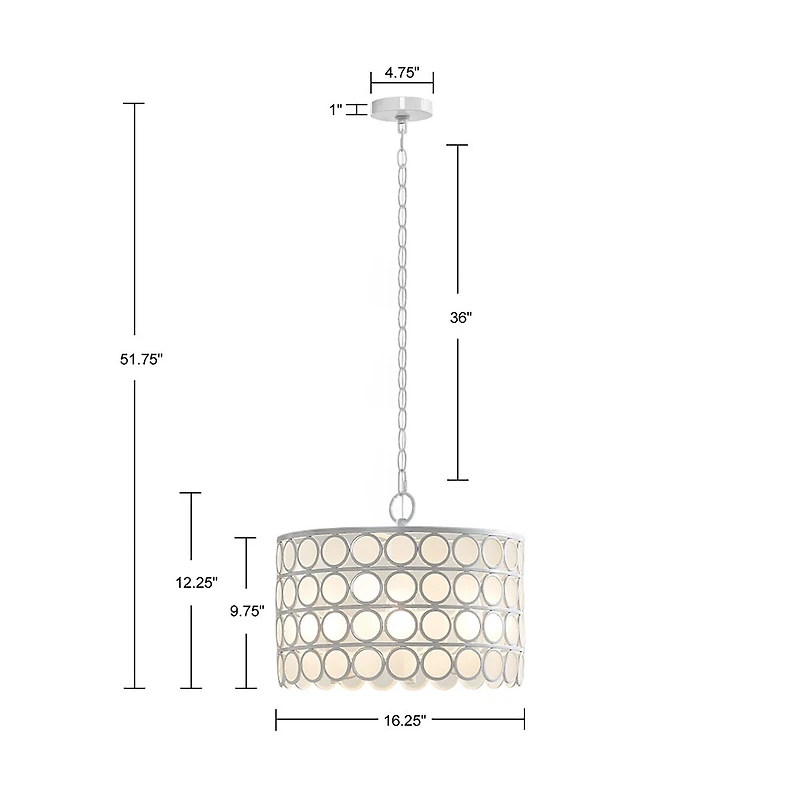 Hampton Hill Abbot 4 Light Drum Shaped Chandelier