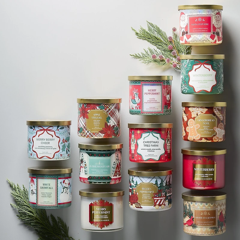 Distant Lands Winterberry 3-Wick Scented Jar Candle