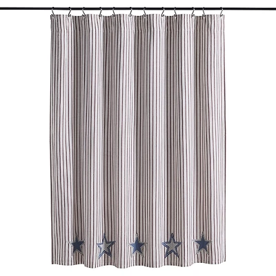 Vhc Brands Celebration Shower Curtain