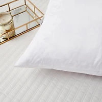 Euro Square Feather 2-Pack Pillows