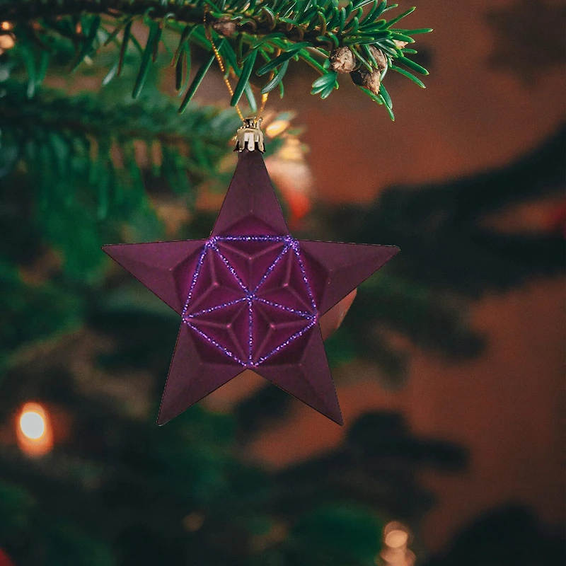 Northlight 2-Finish Star 12-pc. Christmas Ornament