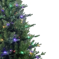 Kurt Adler Led Jackson 6 Foot Pre-Lit Pine Christmas Tree