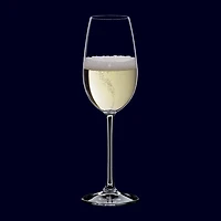 Nachtmann Vivno 4-pc. Champagne Flute