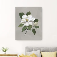 Lumaprints Botanical Magnolia Giclee Canvas Art