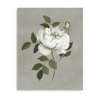 Lumaprints Botanical Rose Giclee Canvas Art
