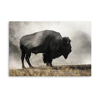 Lumaprints Geyser Basin Giclee Canvas Art