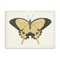 Lumaprints Beautiful Butterfly I Giclee Canvas Art