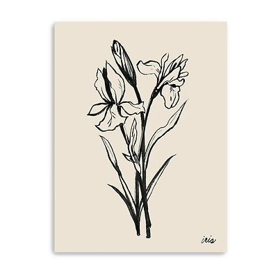 Lumaprints Iris Sketch I Giclee Canvas Art