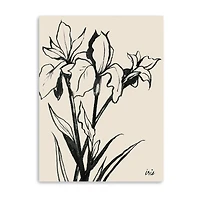 Lumaprints Iris Sketch Iii Giclee Canvas Art