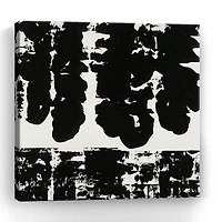 Lumaprints Shadow Velocity Ii Giclee Canvas Art
