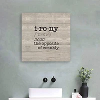 Lumaprints Laundry Room Humor I-Irony Giclee Canvas Art