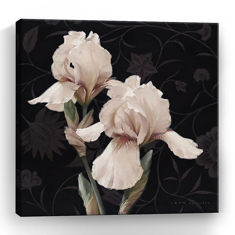 Lumaprints Iris Elegante Giclee Canvas Art