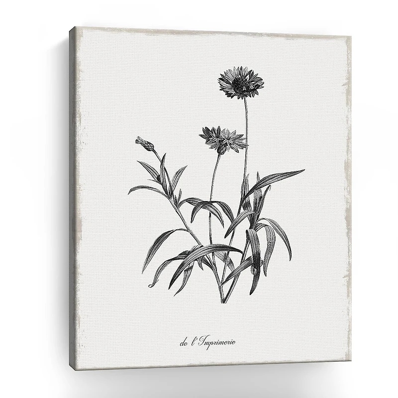 Lumaprints Simply Imperial Giclee Canvas Art