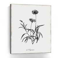 Lumaprints Simply Imperial Giclee Canvas Art