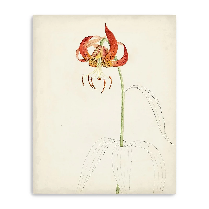 Lumaprints Watercolor Botanical Sketches I Giclee Canvas Art