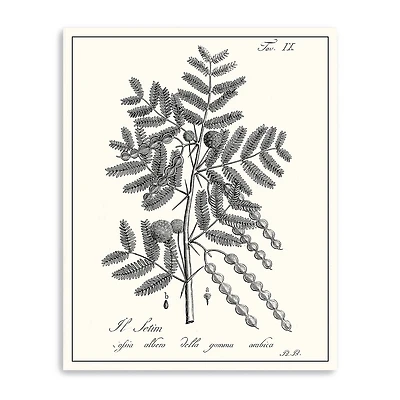 Lumaprints Antique Black & White Botanical I Giclee Canvas Art
