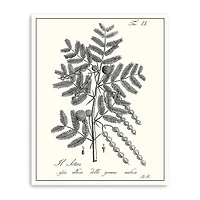 Lumaprints Antique Black & White Botanical I Giclee Canvas Art