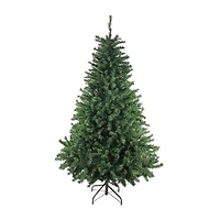Northlight Full Canadian Pine  Unlit 6 Foot Pine Christmas Tree