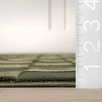 nuLoom Alaiya Indoor Rectangular Area Rug
