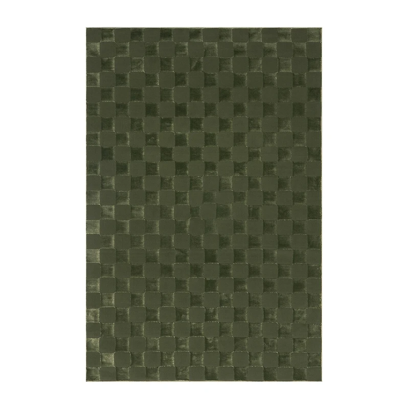 nuLoom Alaiya Indoor Rectangular Area Rug