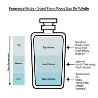 Dolly Parton Omni Eau De Toilette 3-Pc Gift Set ($45 Value) Perfume Set