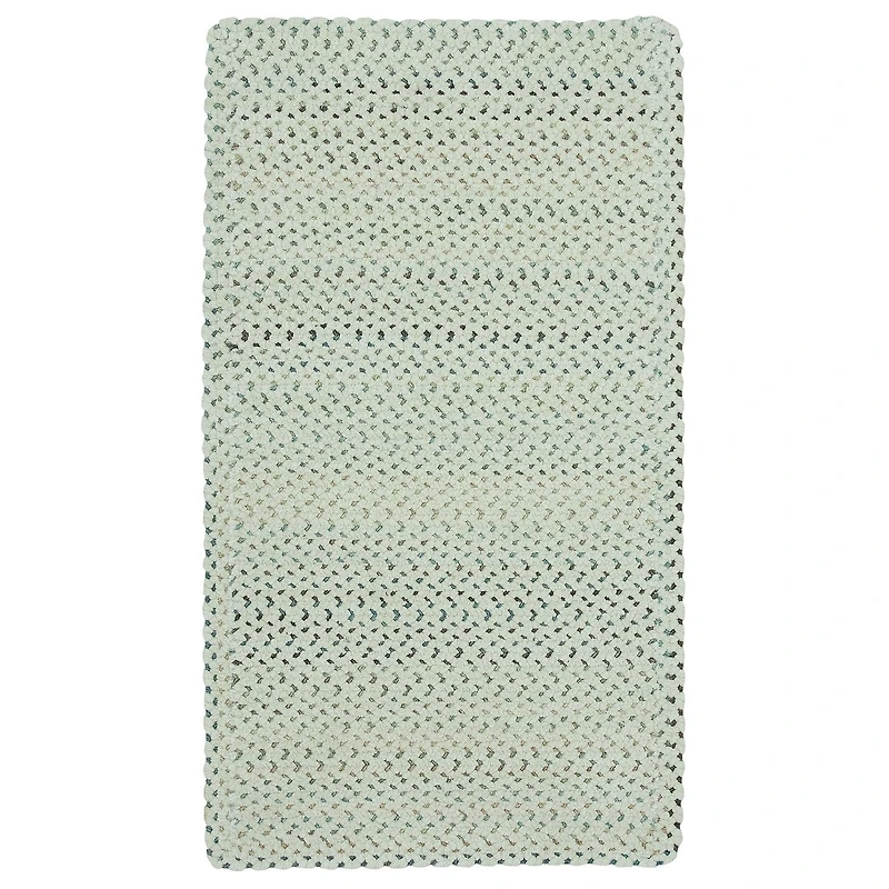 Capel Inc. Vivid Braided Reversible Indoor Rectangular Area Rug