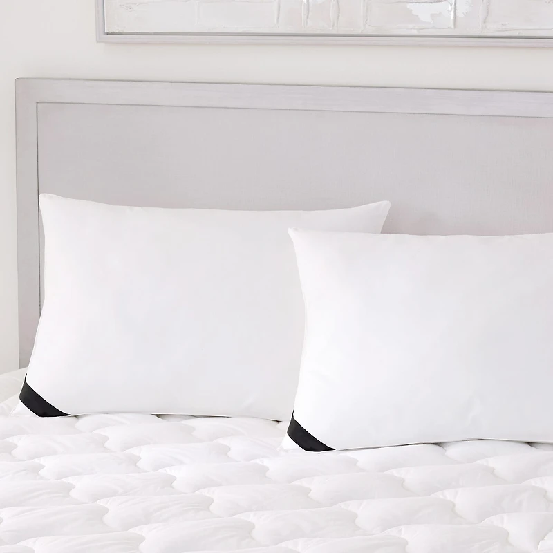 Queen Street Elegance 233 Thread Count Cotton Allergen Barrier Down Alternative Medium Density Pillow 2-Pack