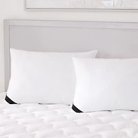 Queen Street Elegance 233 Thread Count Cotton Allergen Barrier Down Alternative Medium Density Pillow 2-Pack