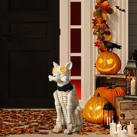 Glitzhome "20.5""Ligted Mgo Skeleton Dog Porch Decor" Halloween Porch Sign