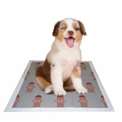 The Pet Life 55 Grams Ultra Absorbent Charcoal Odor Eliminating Anti-Skid and Anti-Bacterial Diabetic Premium Dog Training Pads