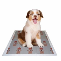 The Pet Life 55 Grams Ultra Absorbent Charcoal Odor Eliminating Anti-Skid and Anti-Bacterial Diabetic Premium Dog Training Pads