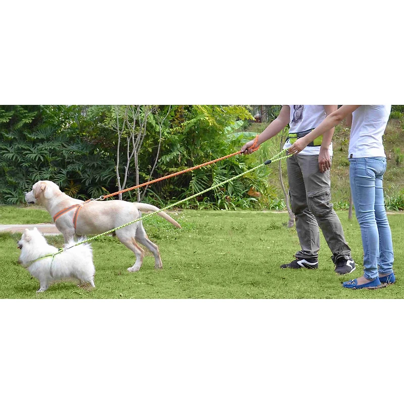 The Pet Life Reflective Stitched Easy Tension Adjustable 2-in-1 Dog Leash and Harness