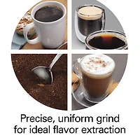 Hamilton Beach Conical Burr Digital Coffee Grinder
